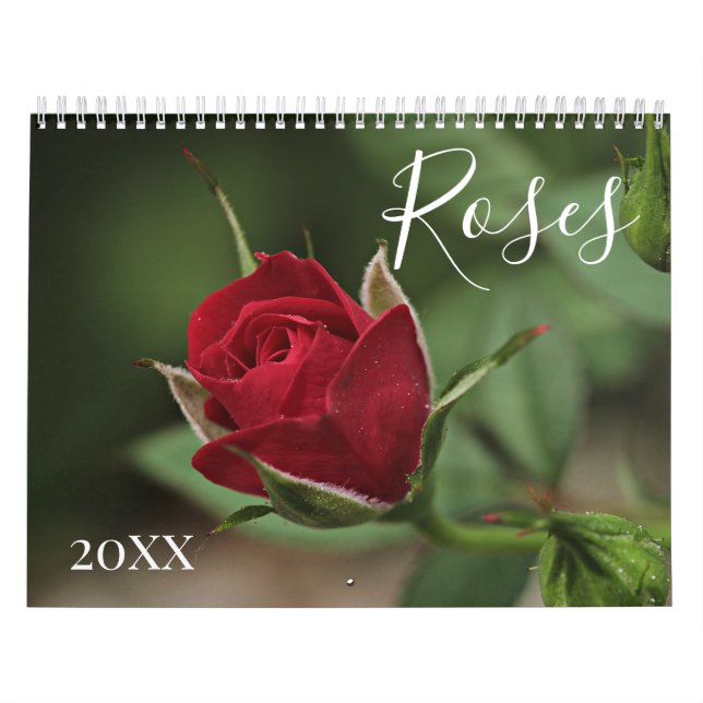 Romantische Blume Rose Kalender (Titelbild)