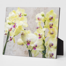 Romantische Creme & Lilac Orchids Fotoplatte