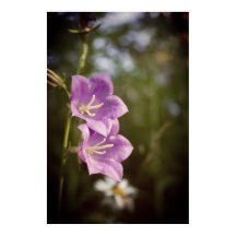 Romantische dunkle Blumen – Botanische Fantasy Boh
