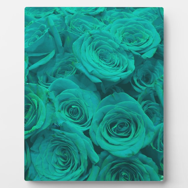 Romantische elegante aquamarine - grüne Rose Fotoplatte (Vorderseite)