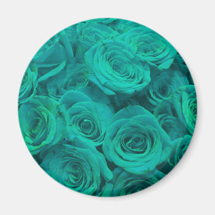Romantische elegante aquamarine - grüne Rose Magnet