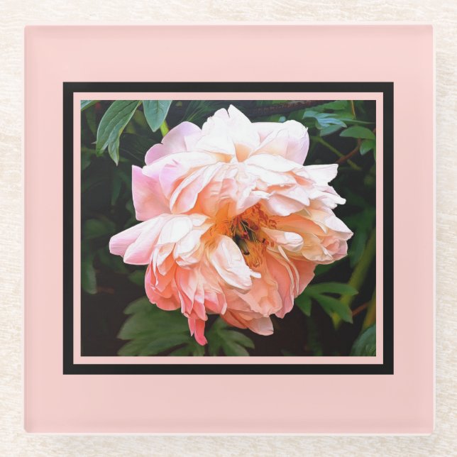 Romantische Frühlingspferde in Blasspeach Glasuntersetzer (Vorderseite)