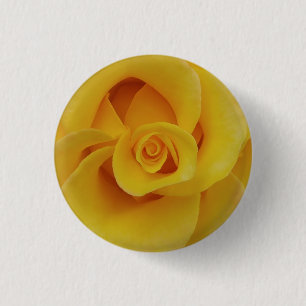 Romantische gelbe Rosenblütenblätter Button