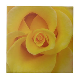 Romantische gelbe Rosenblütenblätter Fliese