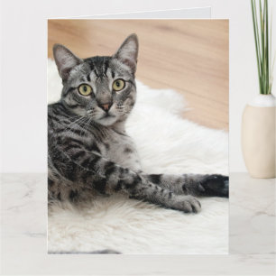 Romantische getigerte Katzenbaby-Grußkarte Karte
