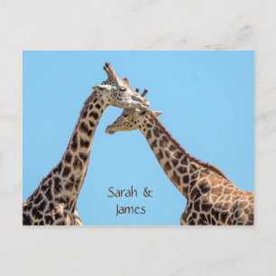 Romantische Giraffe Hugs Personalisiert Postkarte