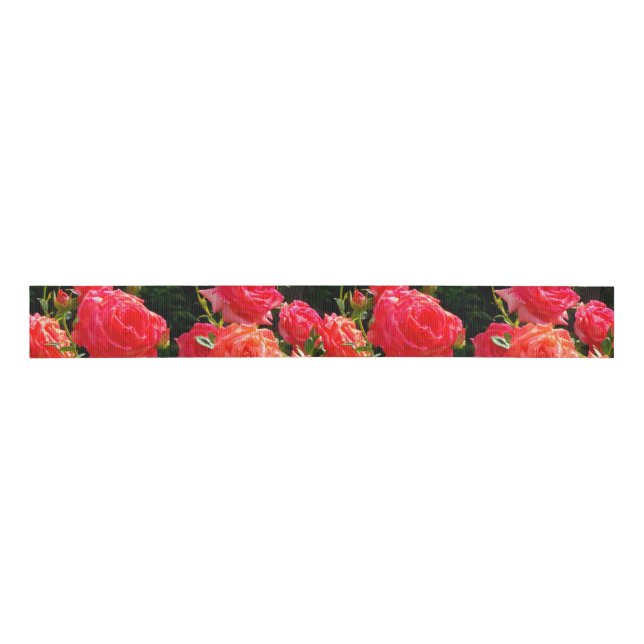 Romantische Korallen-Rose Ripsband (Vorderseite)