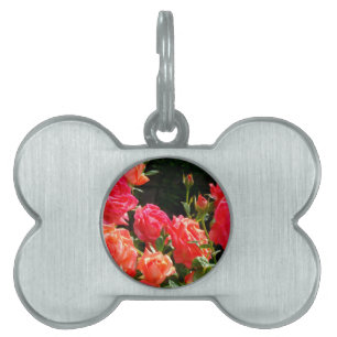 Romantische Korallen-Rose Tiermarke