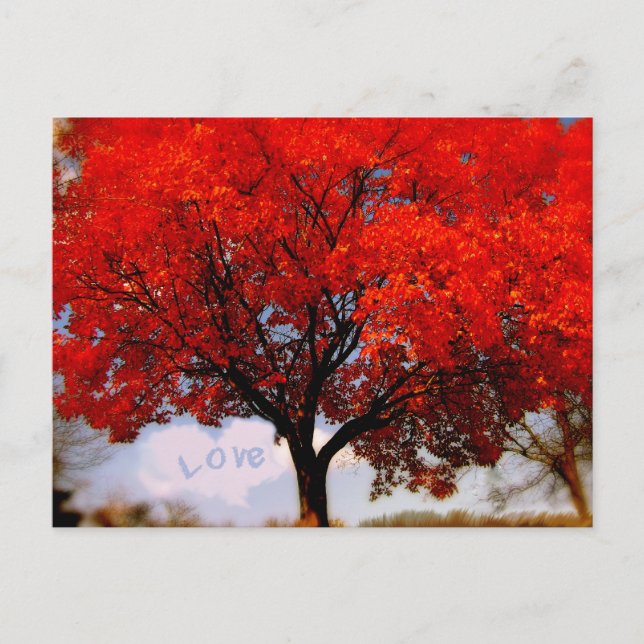 Romantische Liebe ist im Roten Fall Baum Postkarte (Vorderseite)