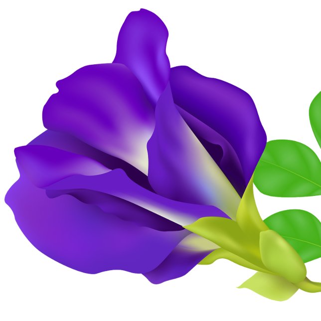 Romantische Lila Blume Speichern Sie das Datumsmag Magnet (Flower)