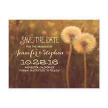 Romantische Löwenblüten Save the Date Postkartenle