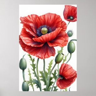 Romantische Mohnblumen Blume Blossom Poster