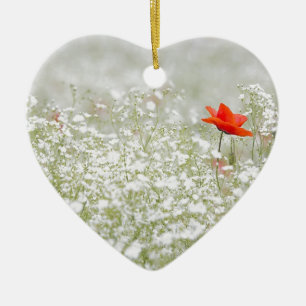 Romantische Mohnblumen-Blumen-rote weiße Wiese Keramik Ornament