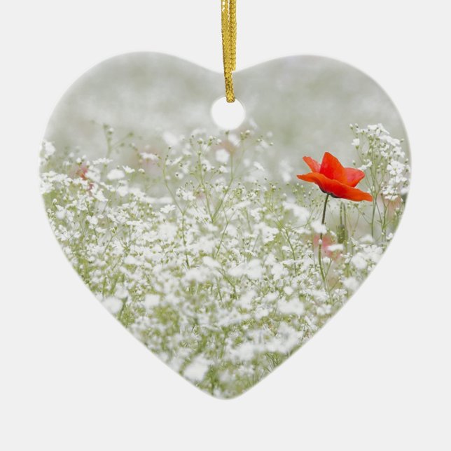 Romantische Mohnblumen-Blumen-rote weiße Wiese Keramik Ornament (Vorne)