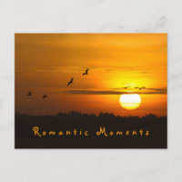 Romantische Momente Krane bei Sonnenaufgang Foto m