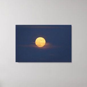 Romantische Mondlicht-Aquarell-Originalkunst Leinwanddruck
