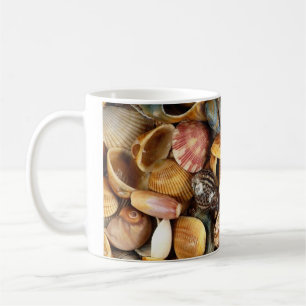 Romantische Muscheln der Tasse Florida