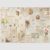 Romantische Not leidende Rose und Ephemeridegewebe