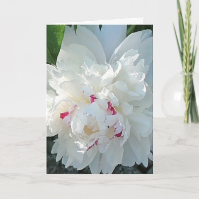 Romantische Peony Gruß- und/oder Notizkarte Karte (Vorderseite)