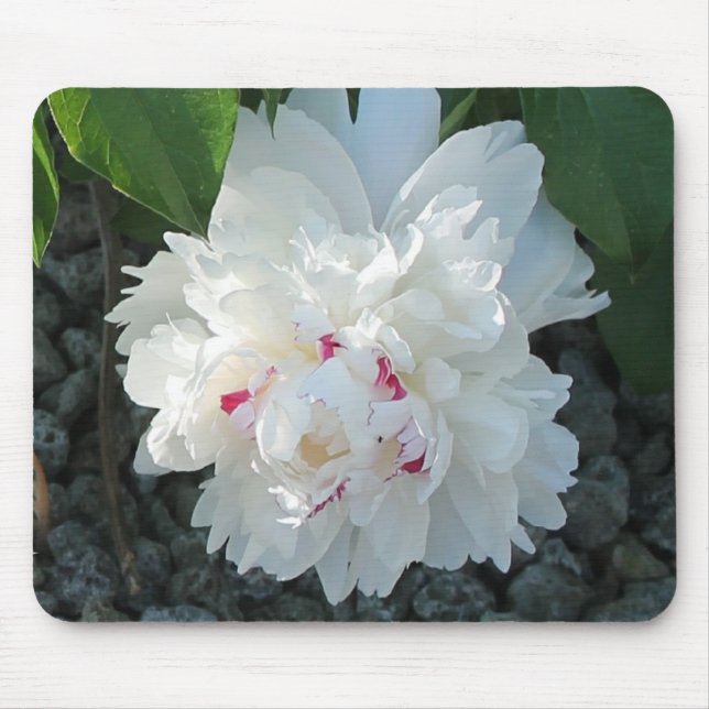 Romantische Peony Mousepad (Vorne)