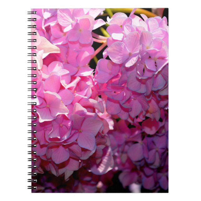 Romantische Pink Hydrangea Notizblock (Vorderseite)
