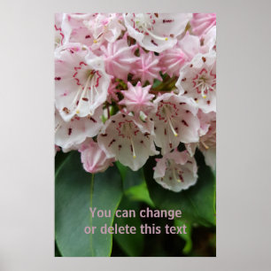 Romantische Rosa Blume Blossom Blumenfotografie Poster