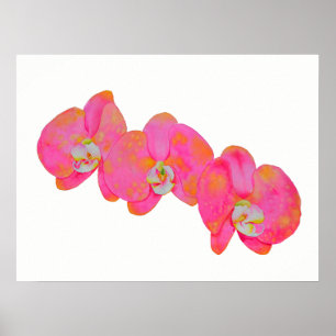 Romantische Rosa Orchid Aquarellmalerei Poster