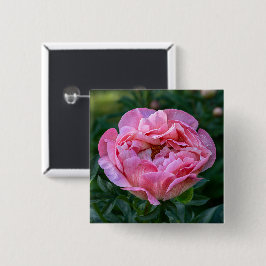 Romantische rosa Pfingstrose blüht sanfte pastellf Button