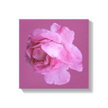 Romantische rosa Rose moderne florale boho-chic-fa