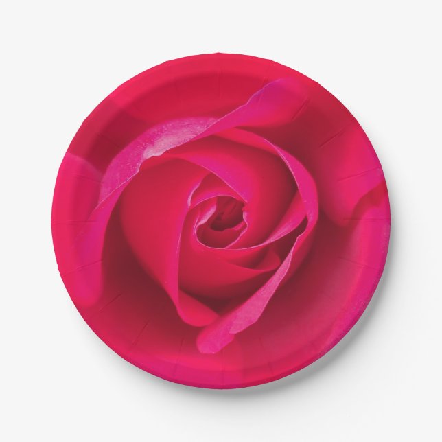 Romantische Rosa Rose v2 Pappteller (Vorderseite)
