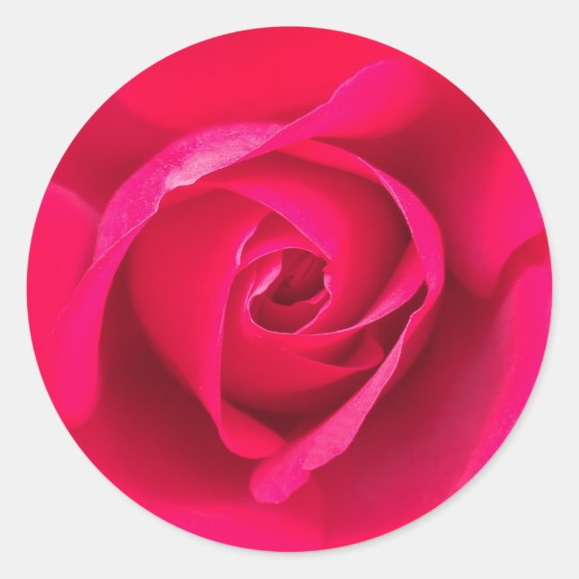 Romantische Rosa Rose v2 Runder Aufkleber (Vorderseite)