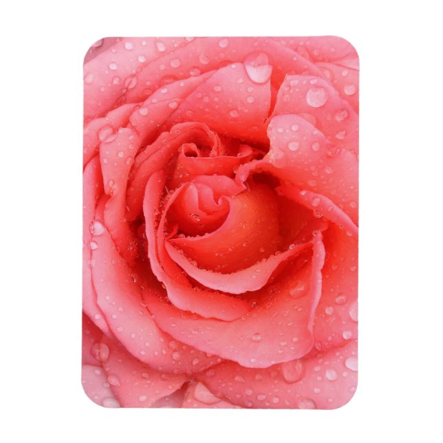 Romantische Rosa Rosentropfen Magnet (Vertikal)