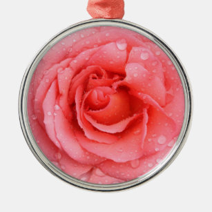 Romantische Rosa Rosentropfen Silbernes Ornament