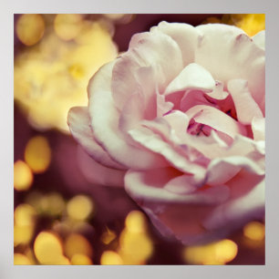 Romantische Rosa und goldgelbes Bokeh Poster
