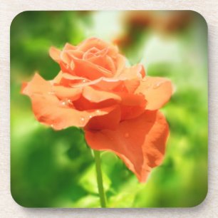 Romantische Rose Blume #2 Untersetzer
