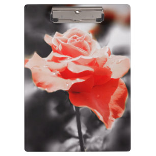Romantische Rose Blume #3 Klemmbrett