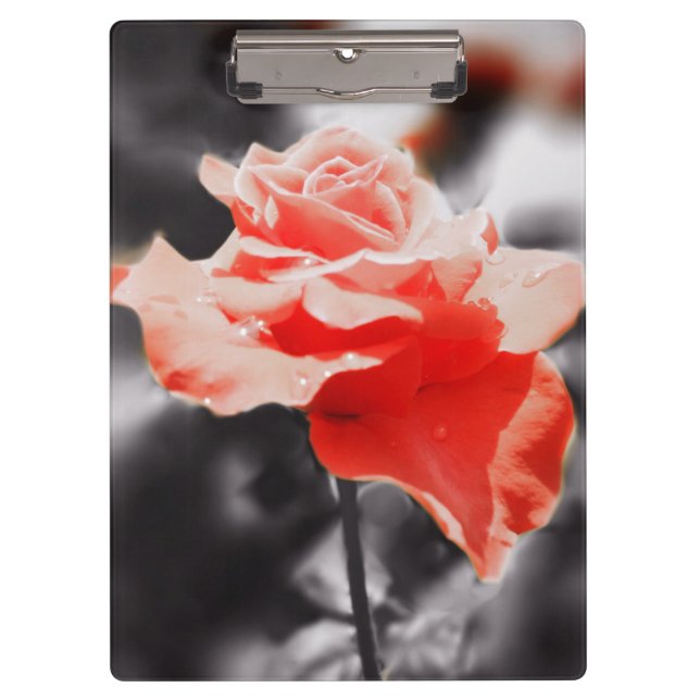 Romantische Rose Blume #3 Klemmbrett (Vorderseite)