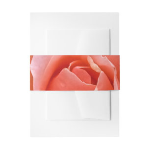 Romantische Rose Botanische Kunst Einladungsbanderole