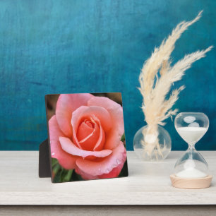Romantische Rose Botanische Kunst Fotoplatte