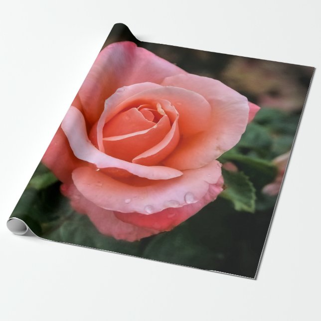 Romantische Rose Botanische Kunst Geschenkpapier (Ungerollt)