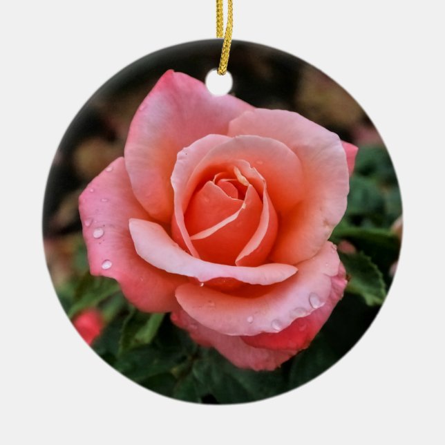 Romantische Rose Botanische Kunst Keramik Ornament (Vorne)