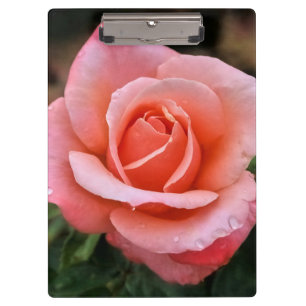 Romantische Rose Botanische Kunst Klemmbrett