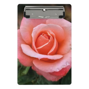 Romantische Rose Botanische Kunst Mini Klemmbrett