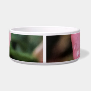 Romantische Rose Botanische Kunst Napf