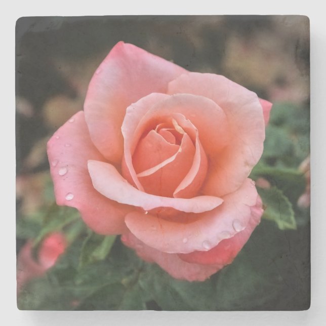 Romantische Rose Botanische Kunst Steinuntersetzer (Vorderseite)