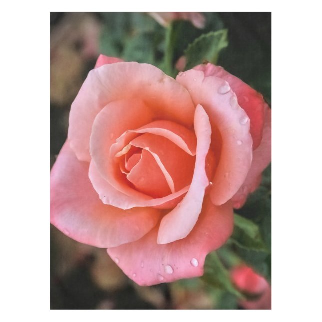 Romantische Rose Botanische Kunst Tischdecke (Vorderseite)