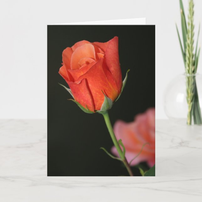 Romantische Rose Geburtskarte Karte (Vorderseite)