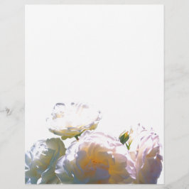 Romantische Rose in Weiß, Gelb, Orange, Gelb und G