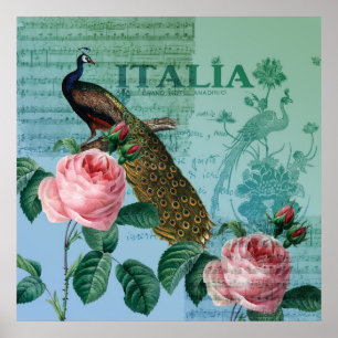 Romantische Rose Musical Peacock Poster