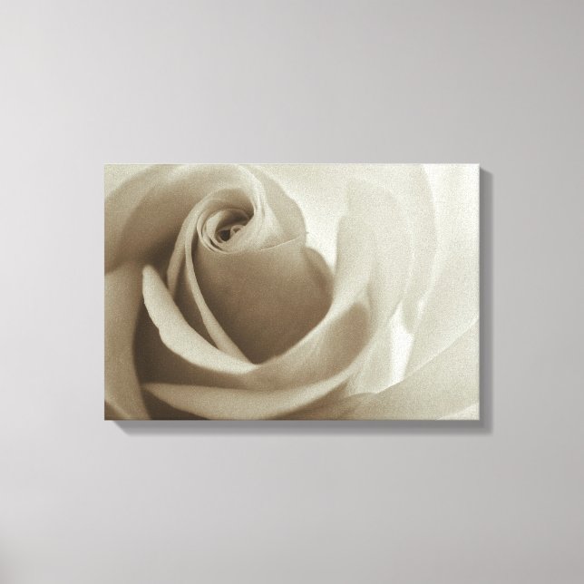 Romantische Rose Sepia Blume Leinwanddruck (Vorderseite)